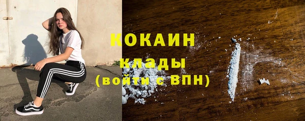 дживик Арсеньев
