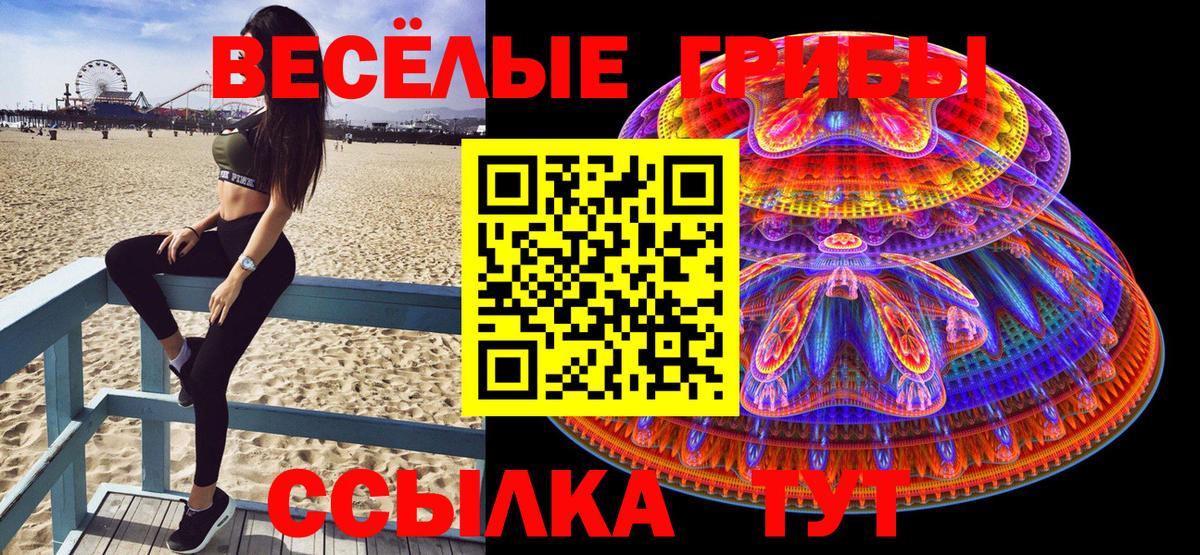 Кирово-Чепецк  Псилоцибиновые грибы ЛСД  Вход с VPN 